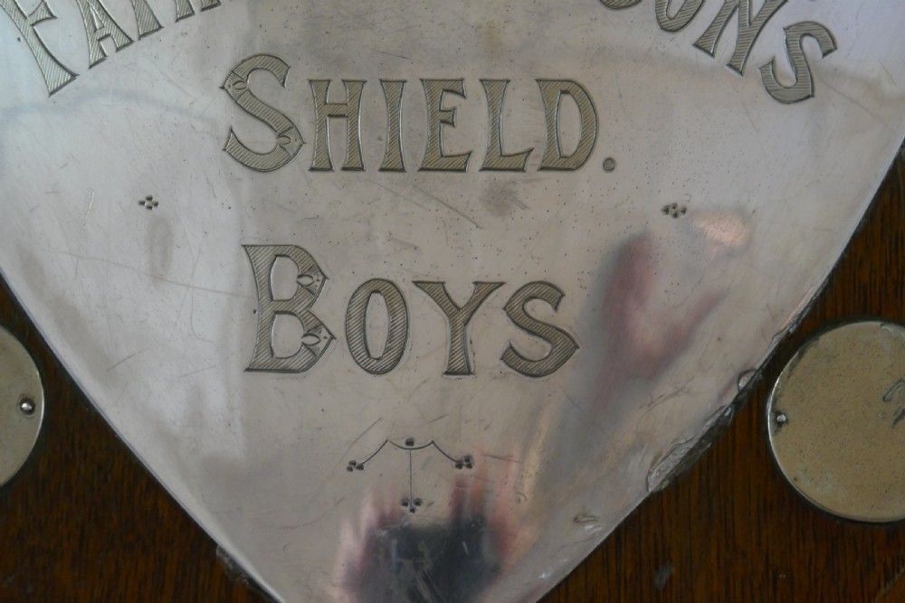 Traditional Shield Swimming Trophy photo 540.0