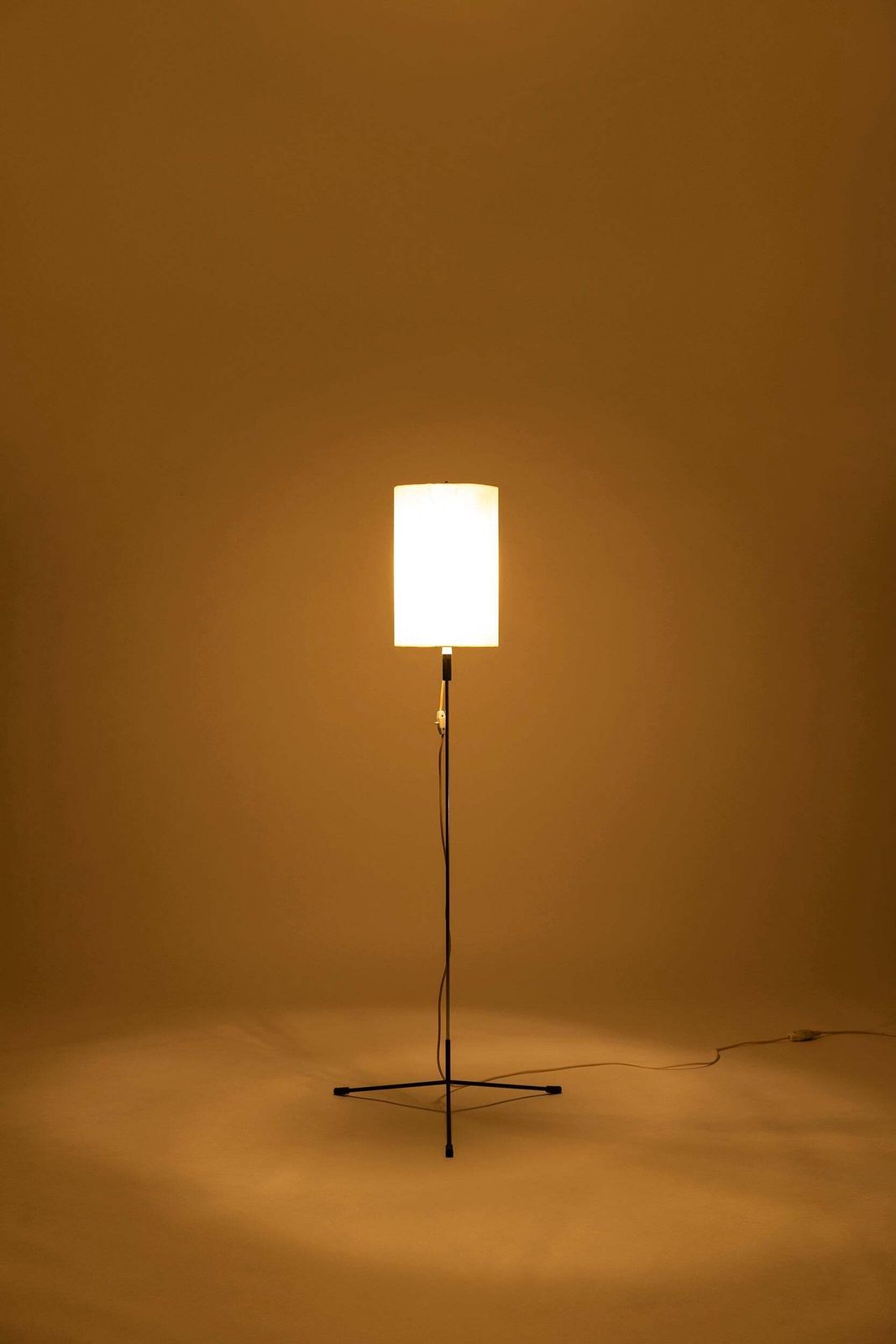 Height Adjustable Mid Century Floor Lamp By Ruser & Kuntner, 60s photo furniture