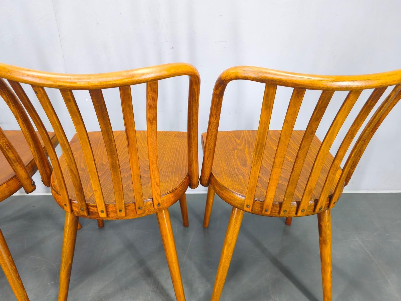Furniture Antonin Suman For Ton Dining Chairs, 1960s, Set Of Four photo