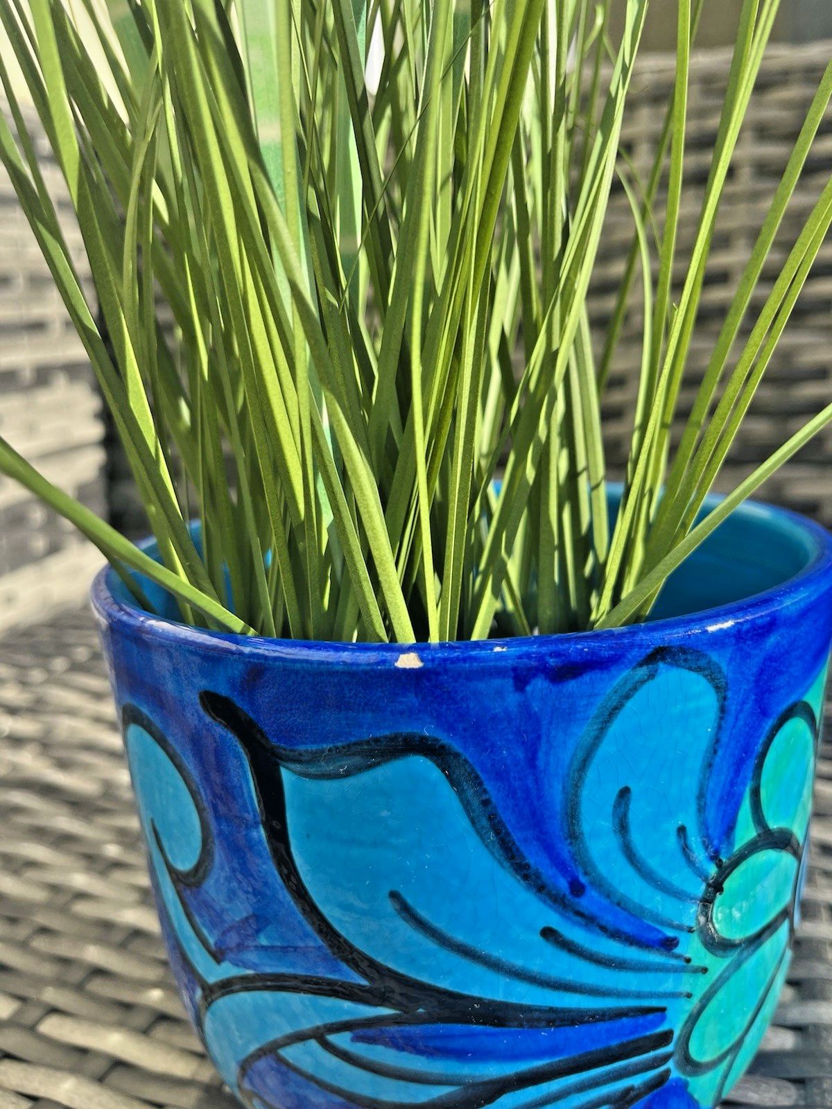 Home Decor Mid Century 60's Italian Bellini Pottery For Raymor Floral Planter Plant Pot photo