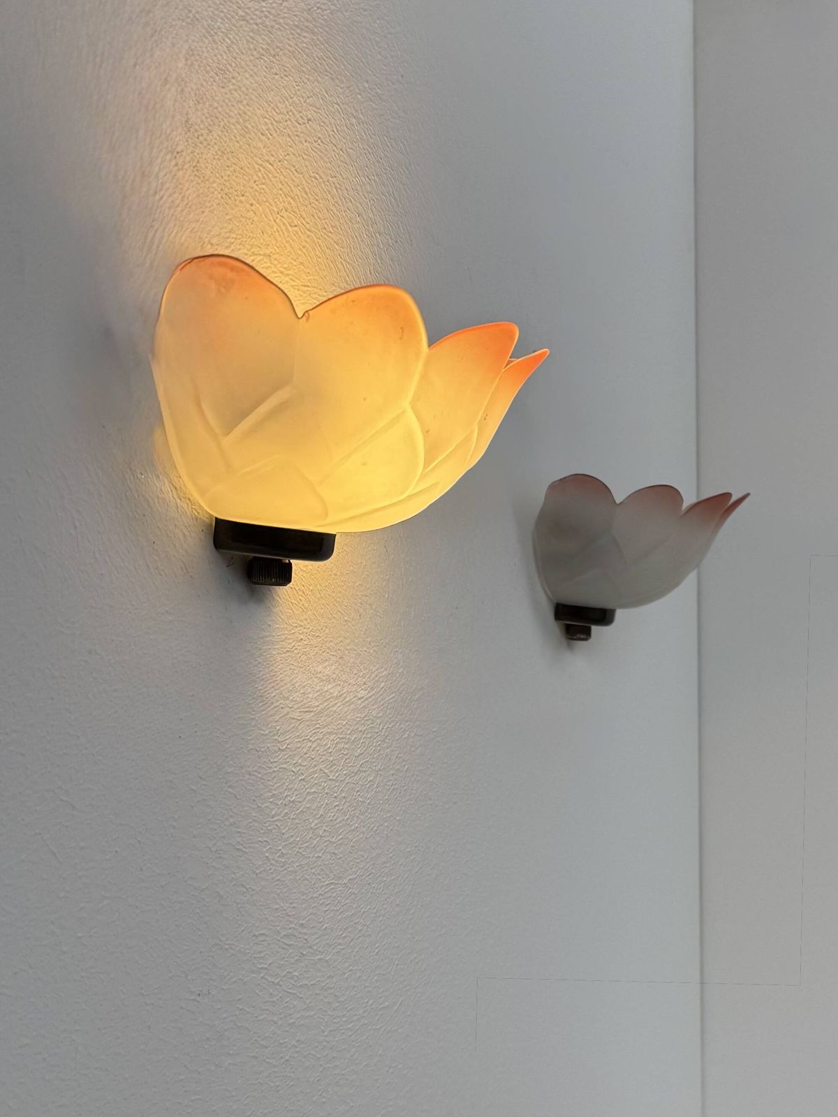 Pair Of Vintage Flower Wall Sconces Glass France 1970 photo furniture