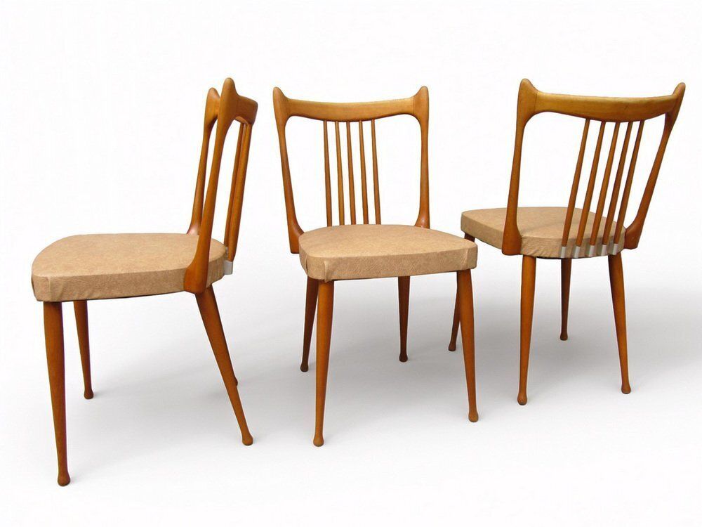 Mid Century Dutch Organic Chairs From Stevens, 1950s, Set Of 3