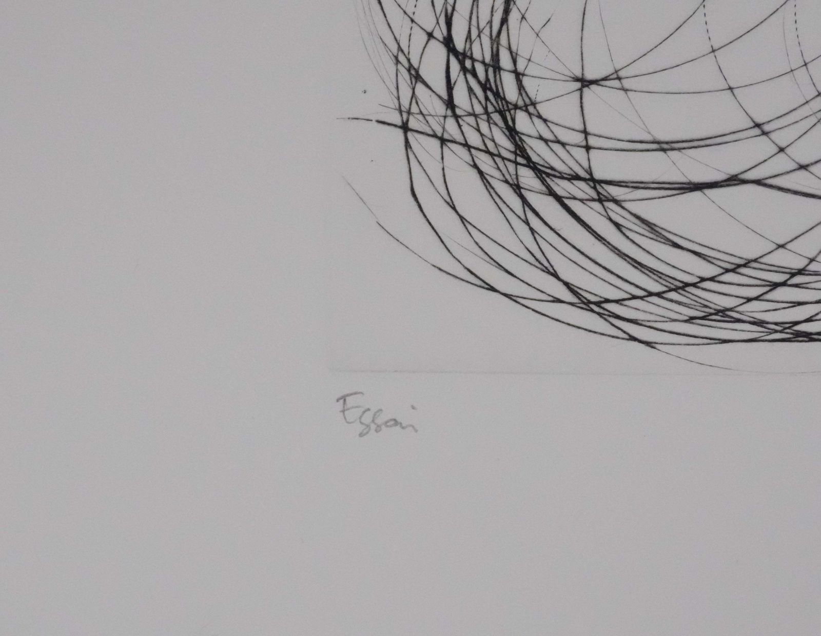 photo furniture Tribute To Leonardo Da Vinci, The Aeroplane   Original Handsigned Etching1975
