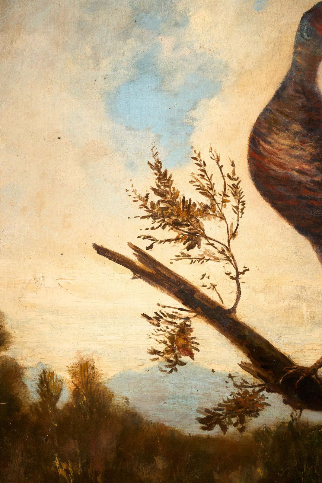 19th Century Very Large Oval Oil On Canvas Painting Of Birds photo 2640.0