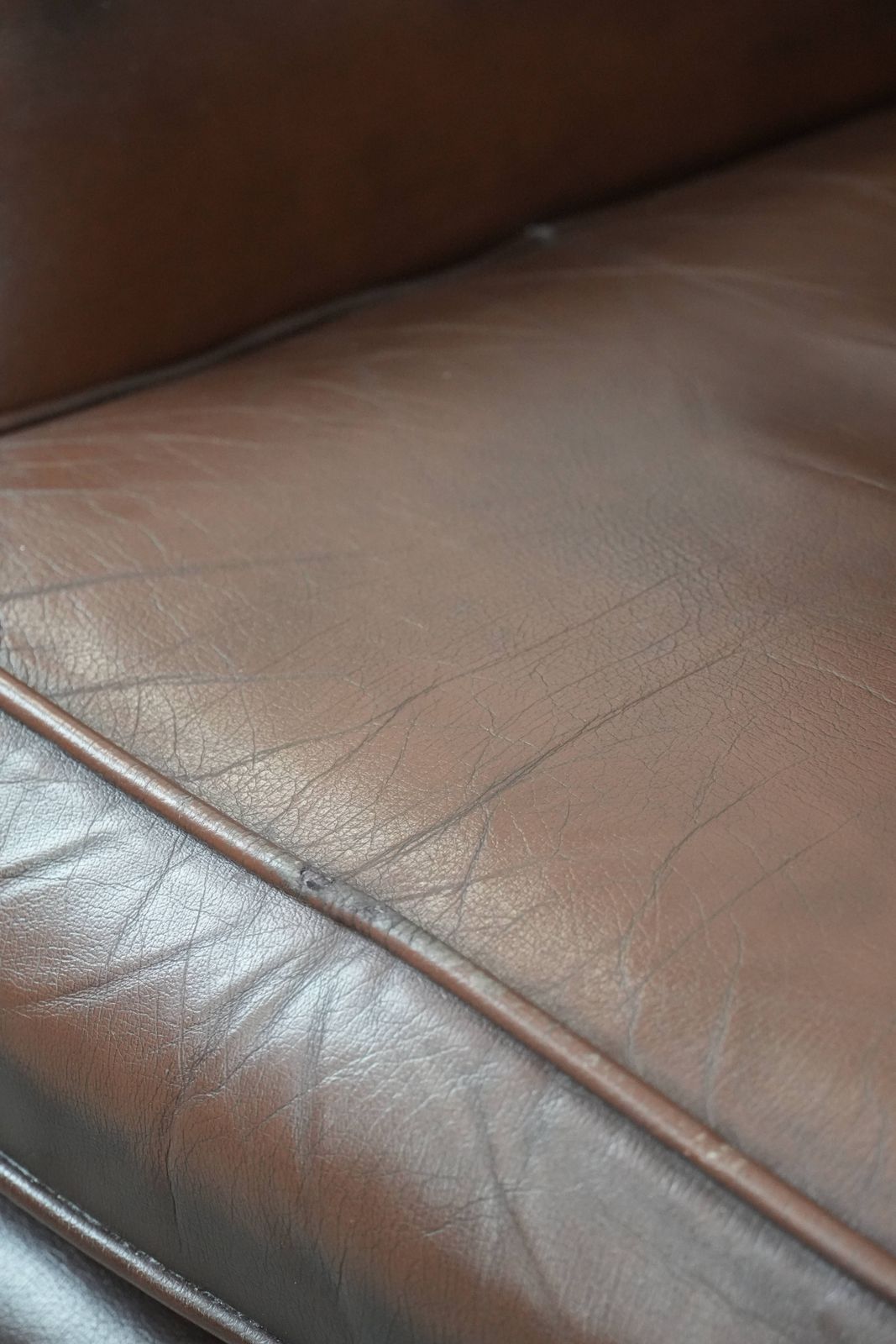 photo vinterior Nice Brown Smooth Cowhide Chesterfield Armchair In English Style Finished With Decorative Nails