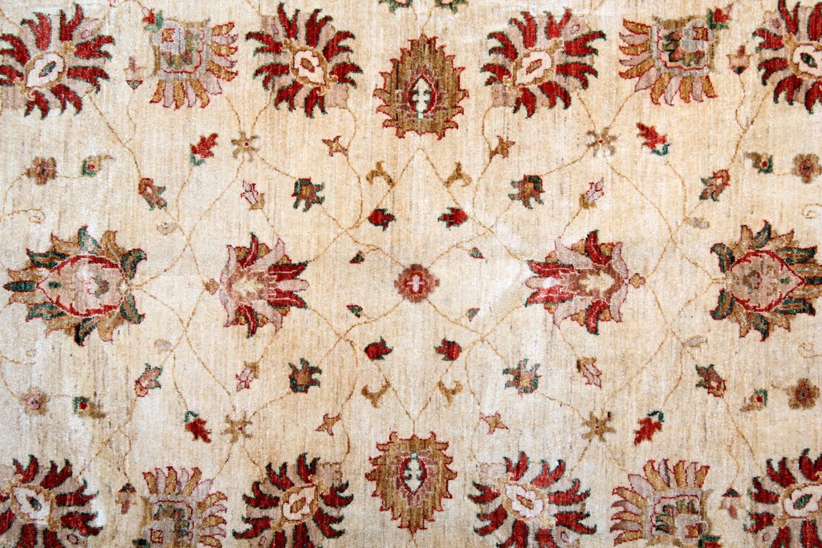 Cream Ziegler Rug Floral Oriental Carpet, Wool Hand Knotted Floor Rug photo Textiles
