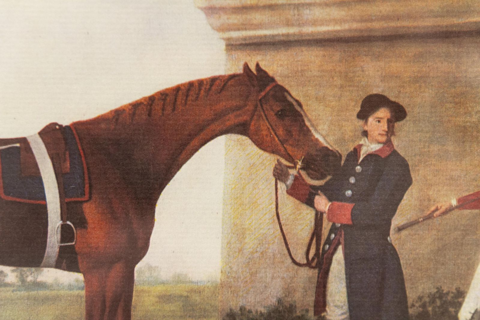 photo for sale Framed Print Of Chestnut Horse "Eclipse" By George Stubbs, Late 20th Century.
