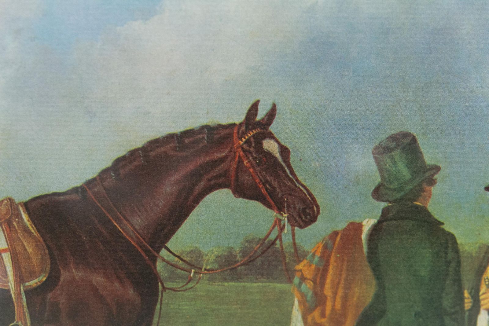 Art Framed Print Of Bay Horse "Touchstone" By John Frederick Herring , 20th Century. photo