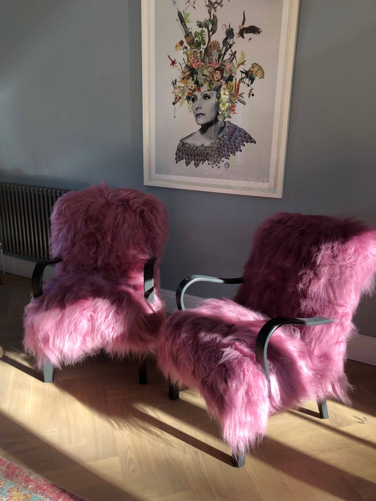 Pink Icelandic Sheepskin Bentwood Armchair photo furniture
