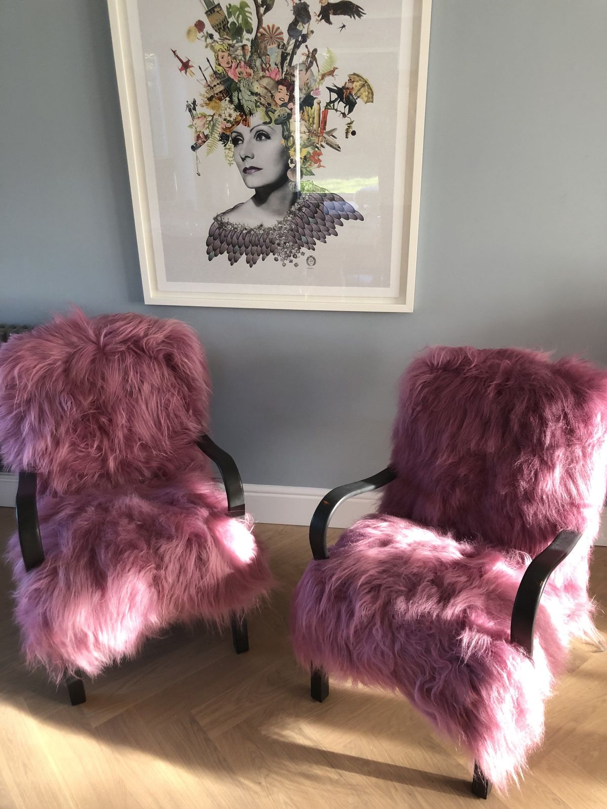 Pink Icelandic Sheepskin Bentwood Armchair photo Furniture