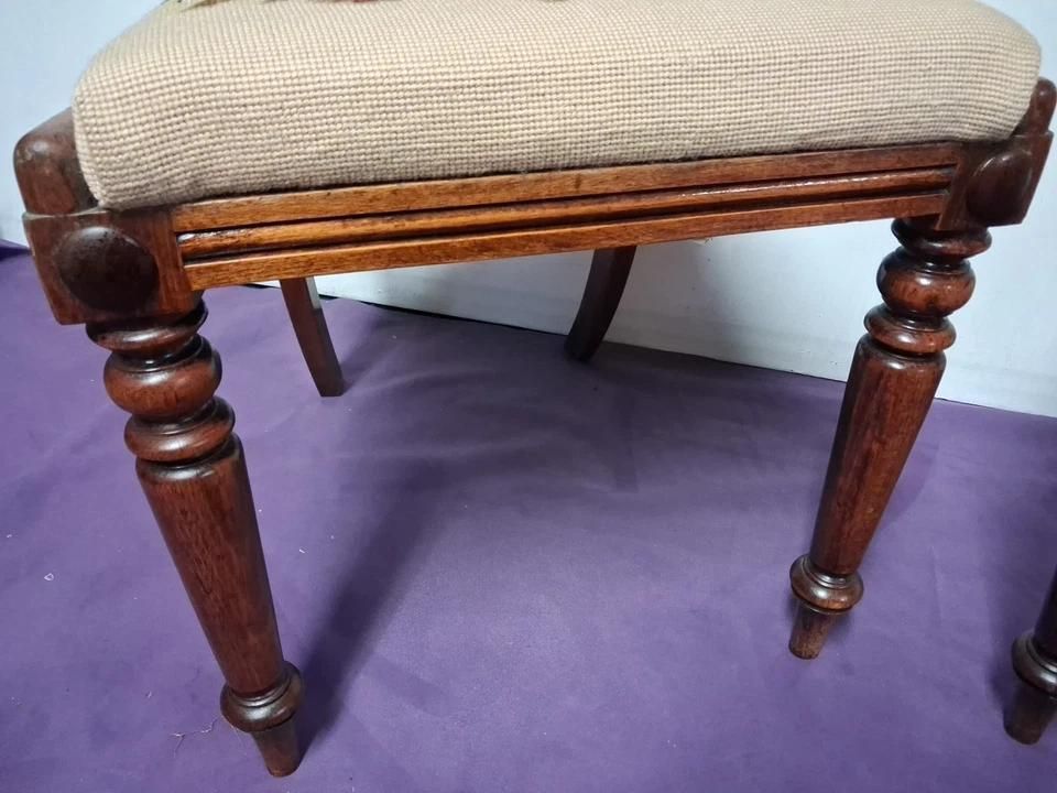 Vintage Pair Of Chairs In Regency Style & Needlepoint Seat Cushion photo Furniture