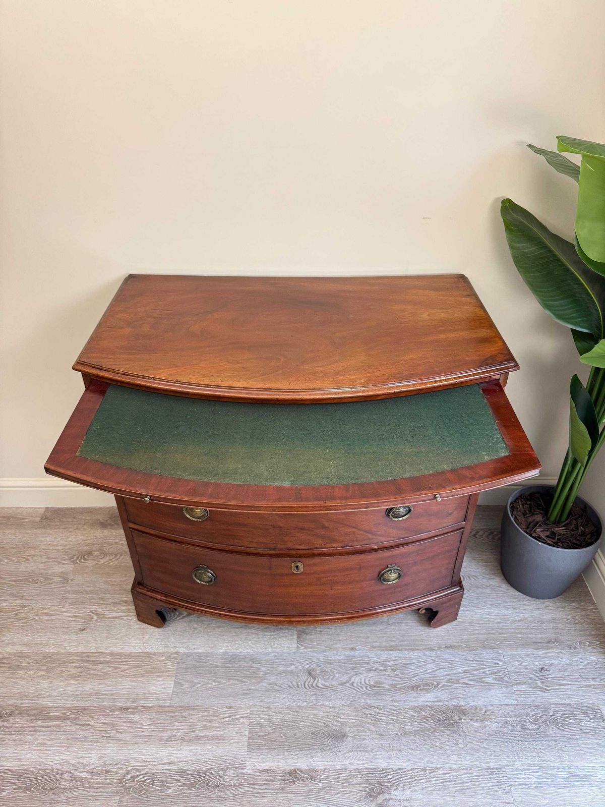 Antique Bow Front Mahogany Chest Of Drawers: Solid Wood 3 Drawer Dresser photo for sale