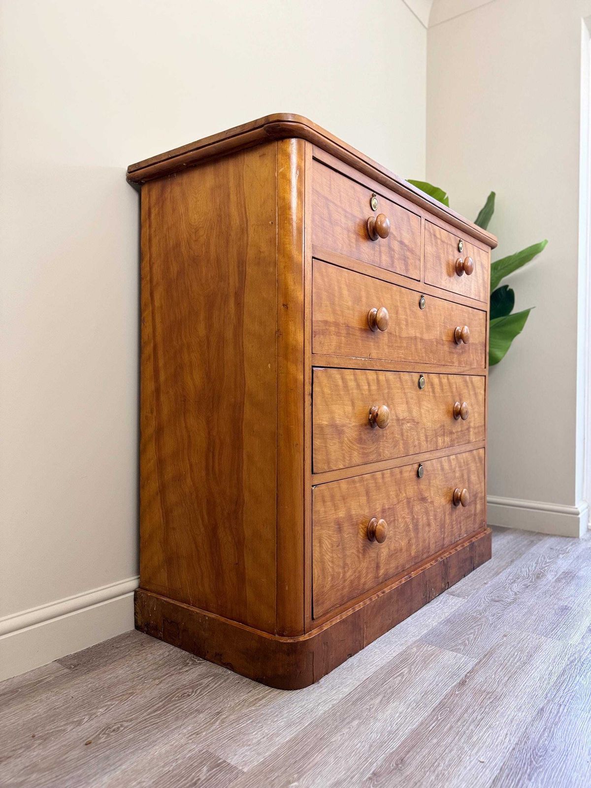 Antique Chest Of Drawers Solid Wood Vintage Furniture Satinwood Blonde photo furniture