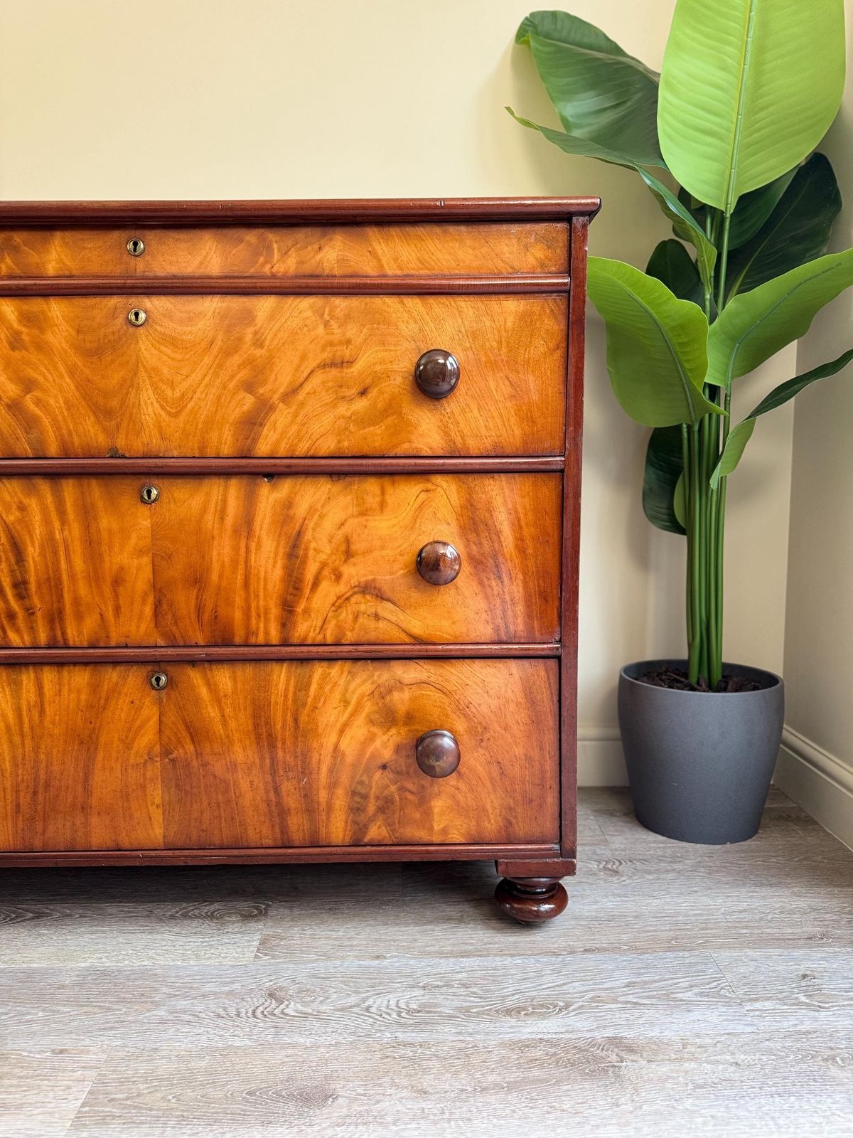 Antique Georgian Flame Mahogany Solid Wood Chest Of Drawers 3 Drawer Dresser photo for sale