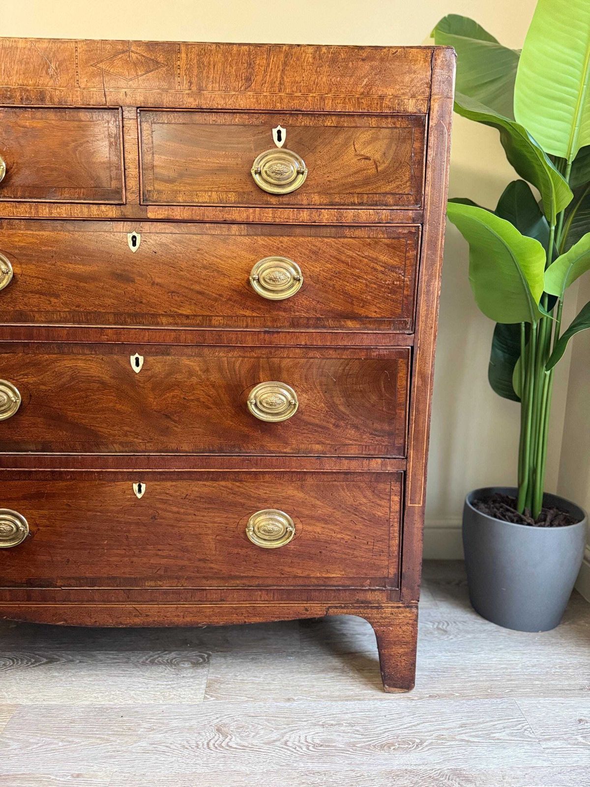Antique Georgian Mahogany Solid Wood Chest Of Drawers   5 Drawer Dresser photo Furniture