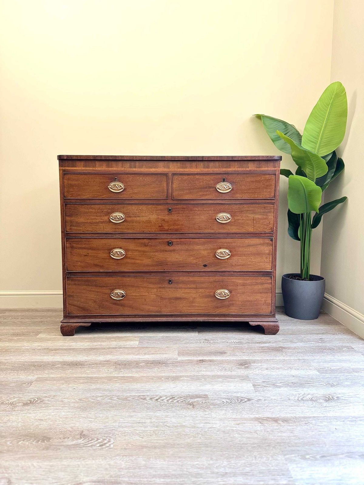 Antique Georgian Solid Wood Extra Large Chest Of Drawers