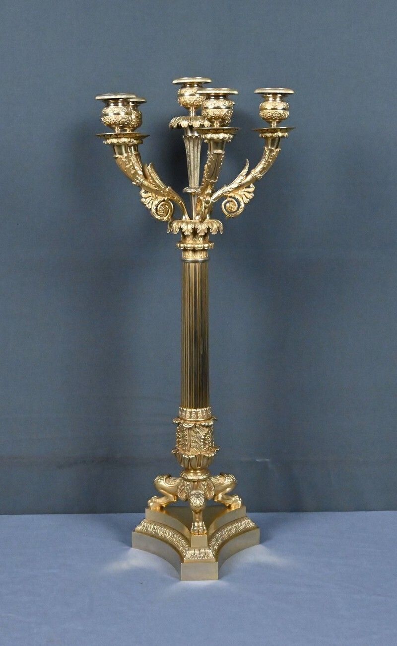 Gilt Bronze Candelabra, Restoration Period – Early 19th Century photo for sale
