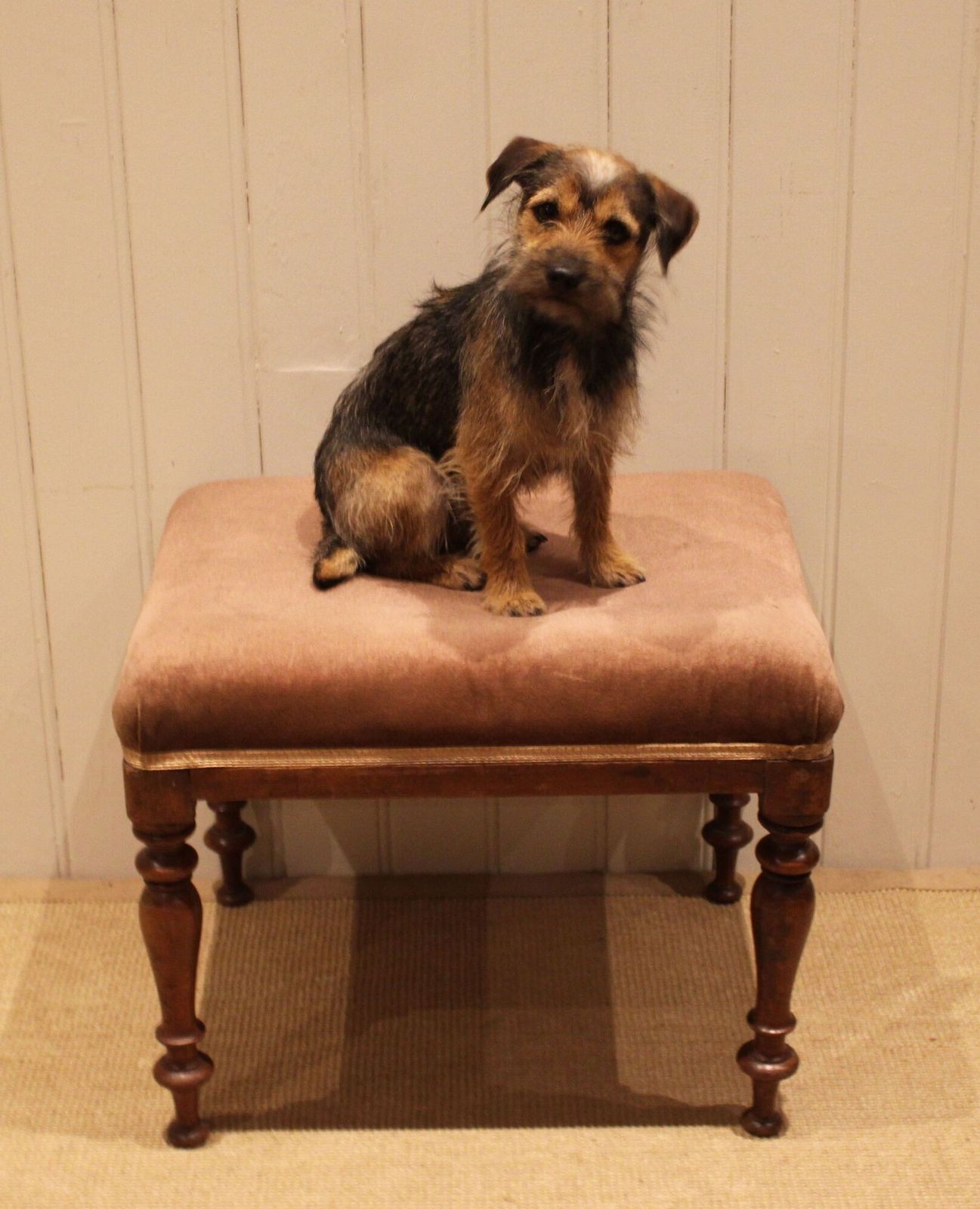 Mahogany Upholstered Stool, 1800s photo vintage