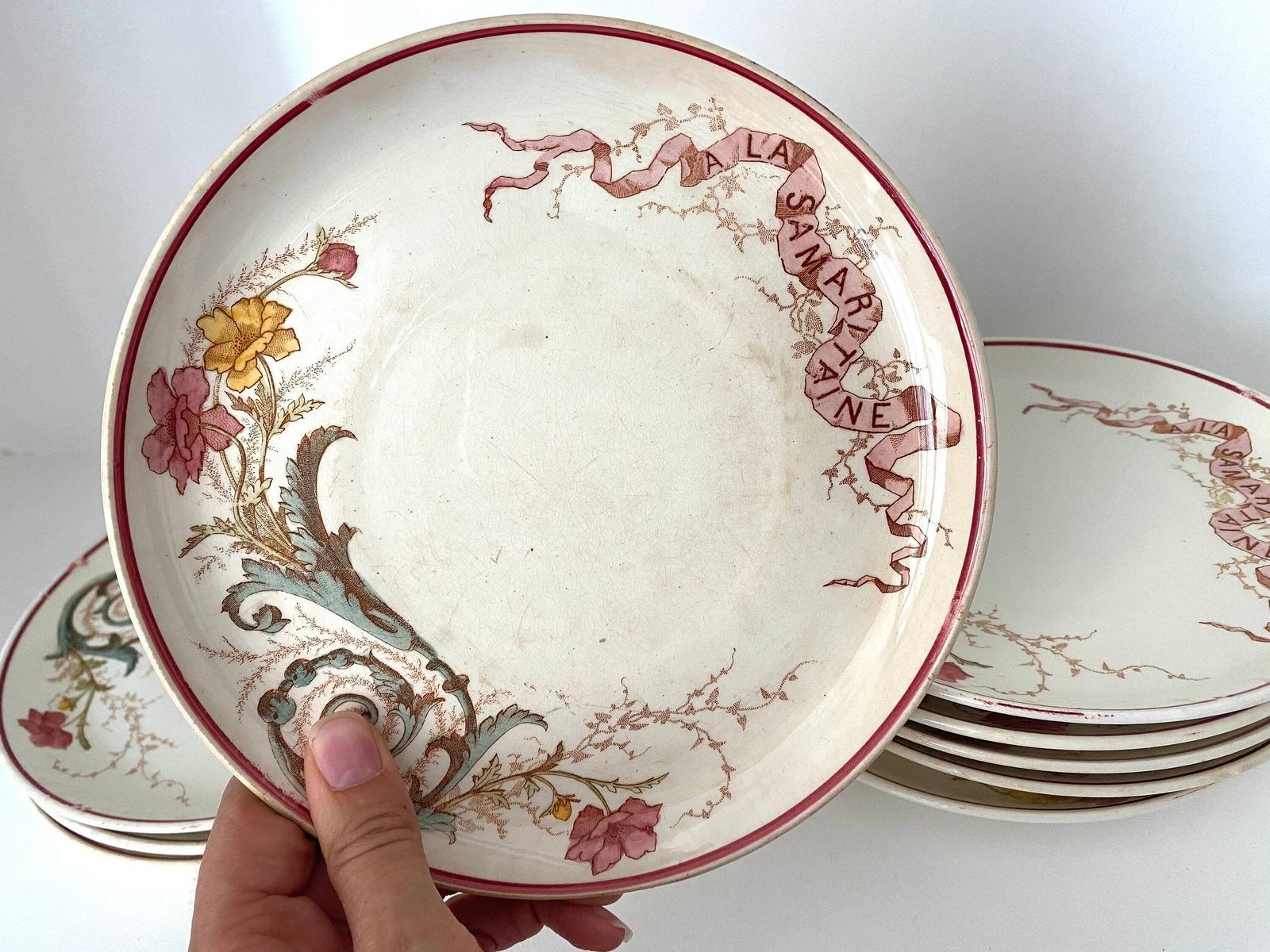 Set Of 9 French "A La Samaritaine" Earthenware Floral Plates, 1900s Antiques Plates, K&G Luneville photo vinterior