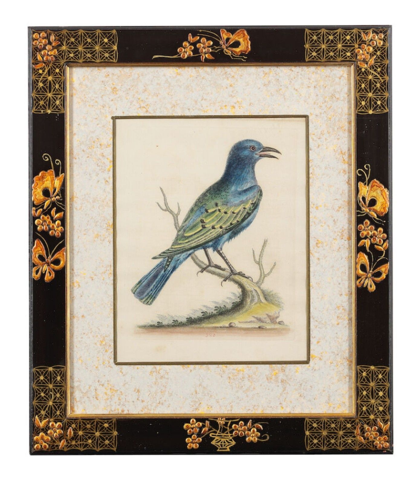 12 Antique 1740 George Edwards Hand Coloured Ornithological Engravings Of Birds photo for sale