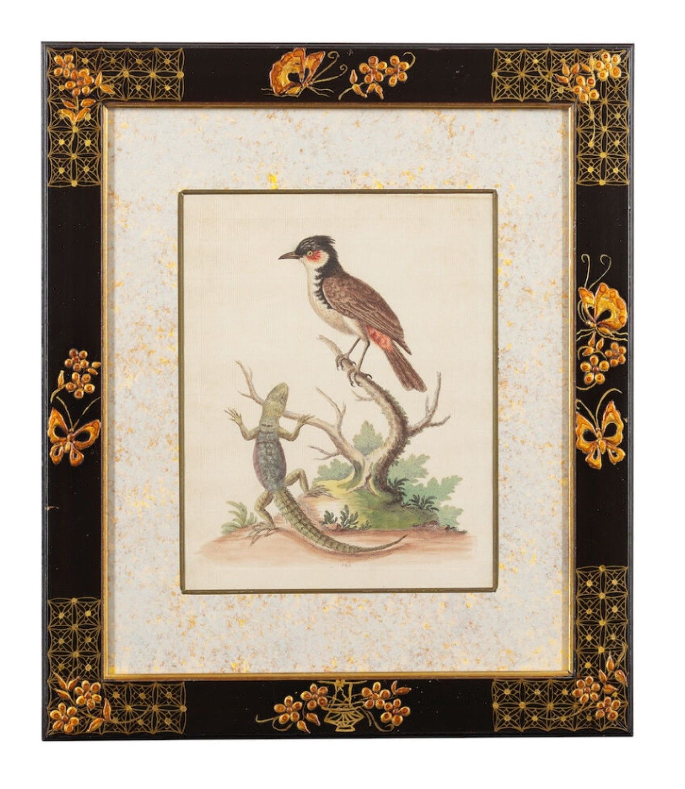 12 Antique 1740 George Edwards Hand Coloured Ornithological Engravings Of Birds photo 25000.0