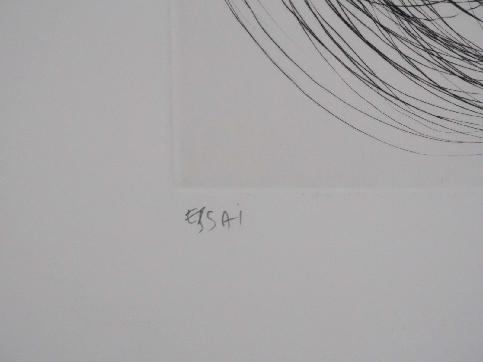 photo furniture Salvador Dalí­Tribute To Leonardo Da Vinci, The Linotype   Original Handsigned Etching1975
