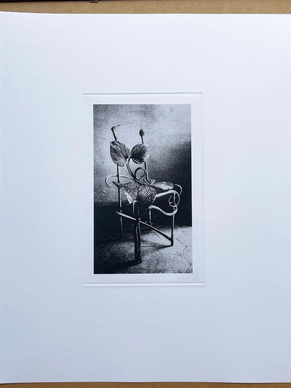Claude Lalanneclaude Lalanne (1925 2019) "Chaise Horta", Heliogravure.2004 photo buy
