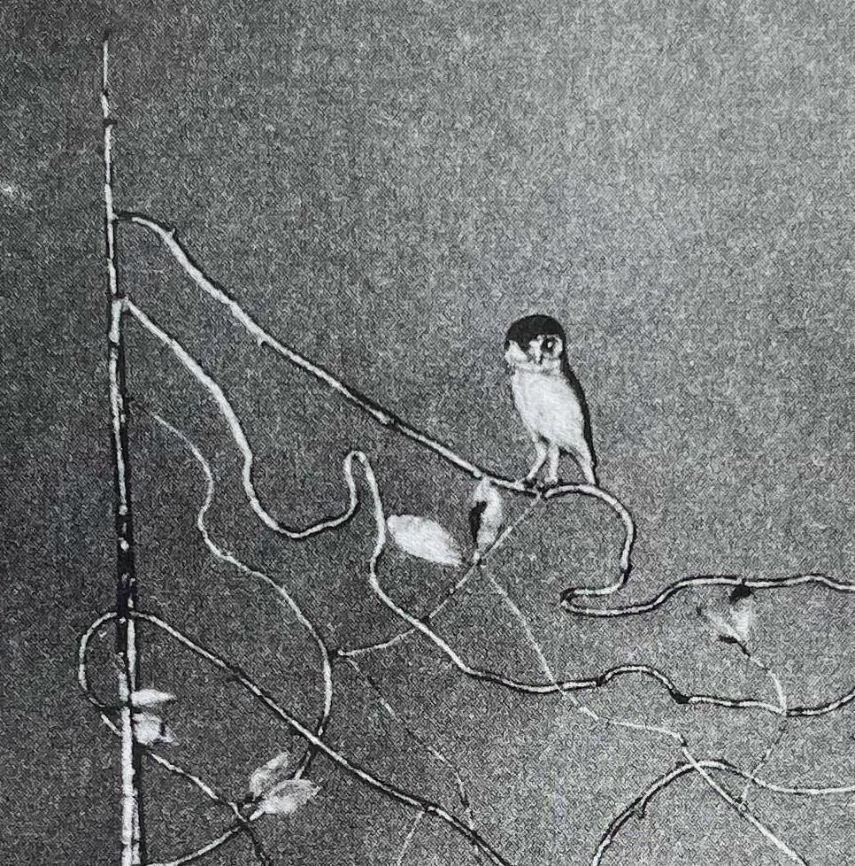 Claude Lalanneclaude Lalanne , Lit Bou, Heliogravure Print On Paper2004 photo vinterior