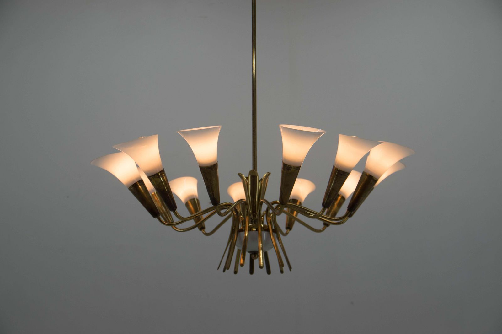 Rare Expo 58 Brussels Chandelier By Kamenicky Senov photo for sale