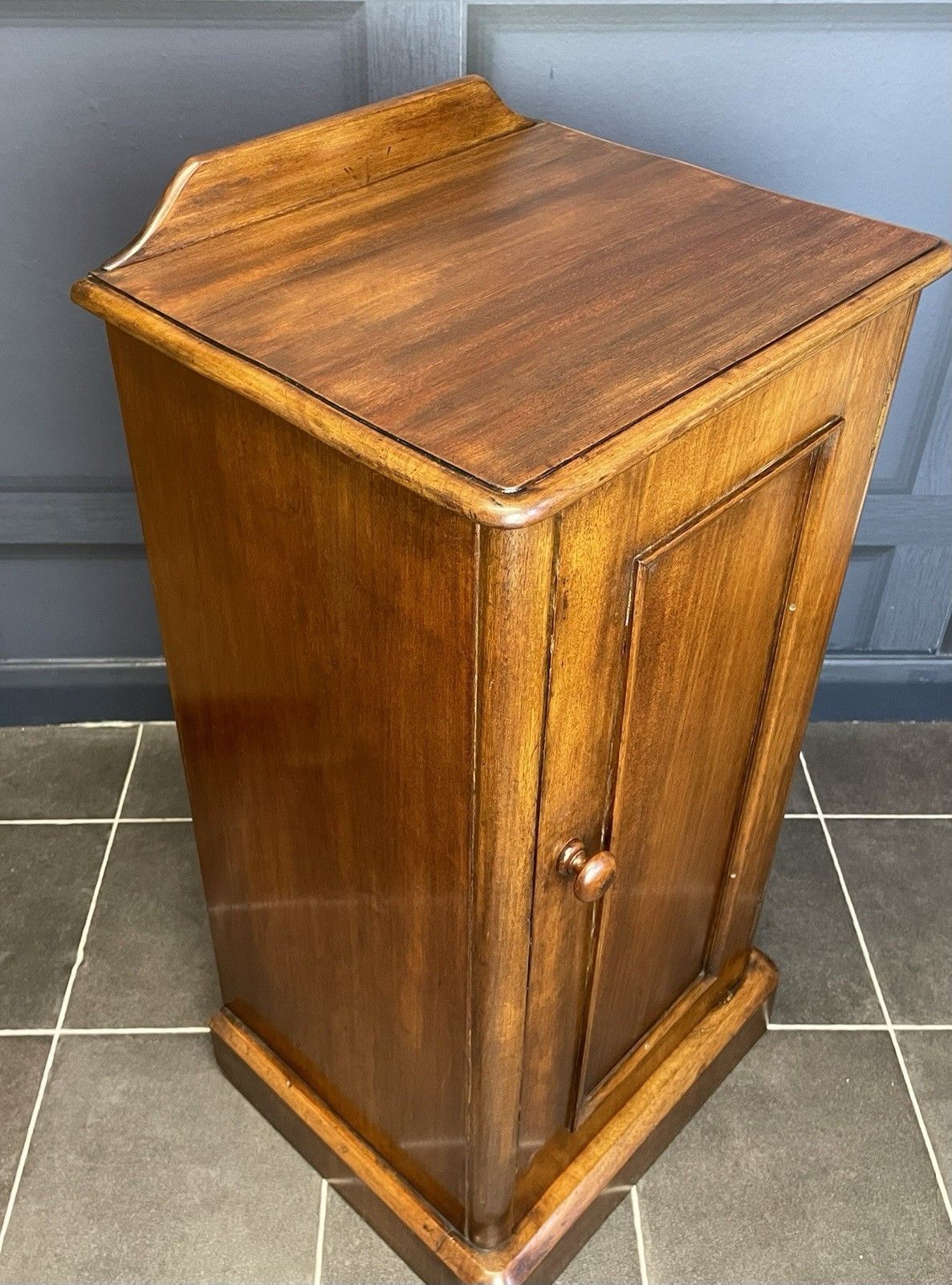 Victorian Antique Mahogany Bedside Cabinet Pot Cupboard Panelled Door photo Furniture