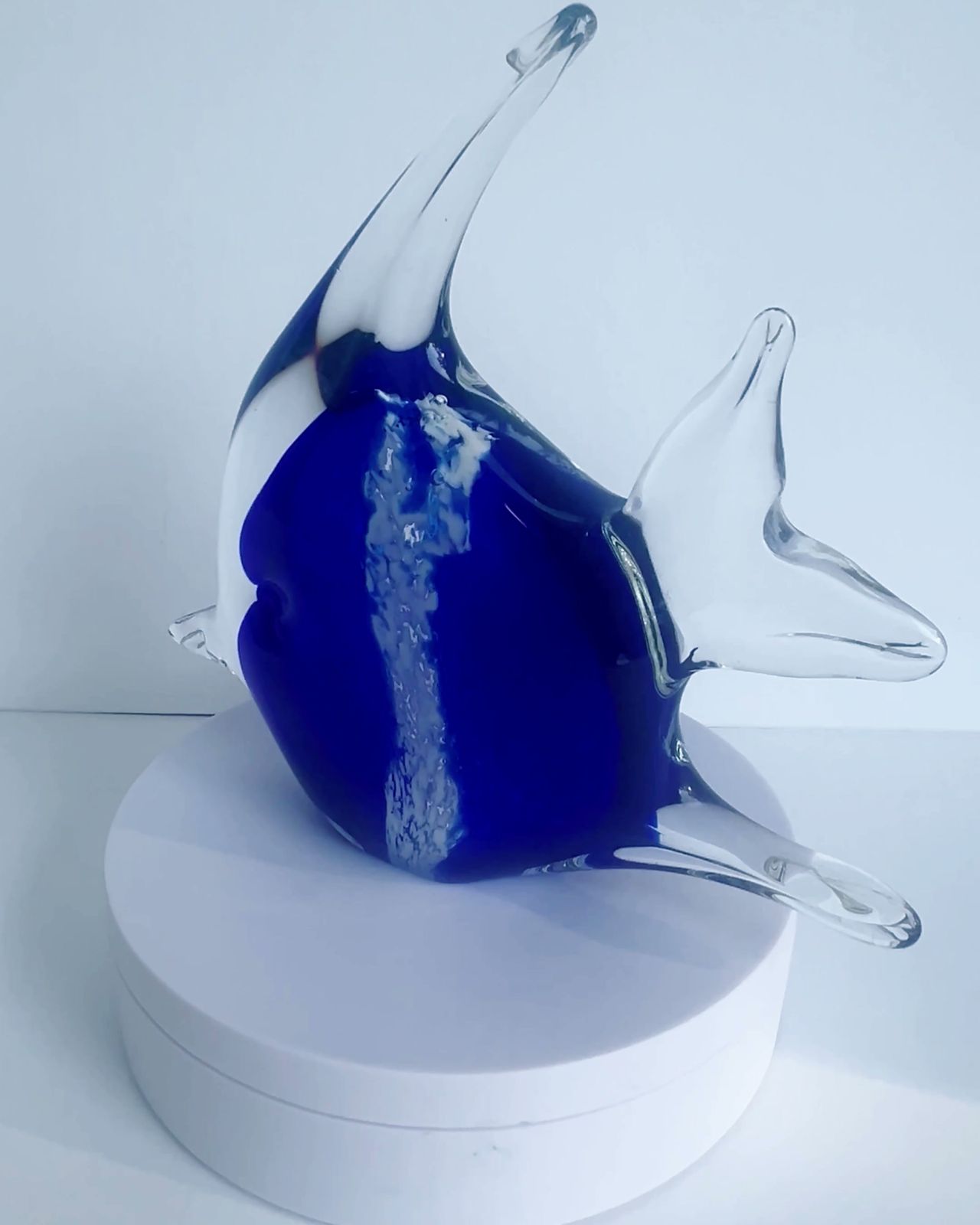 Vintage 1950s 60s Murano Italian Glass Fish photo Art
