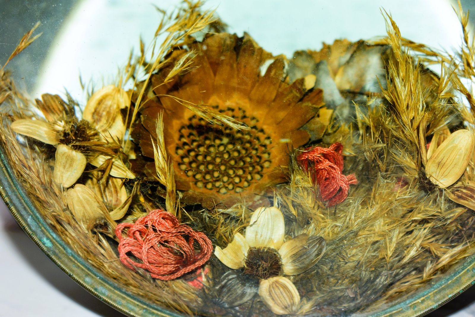 Victorian Botanical Diorama Of Bubble Glass With Dried Flower Display photo Home Decor