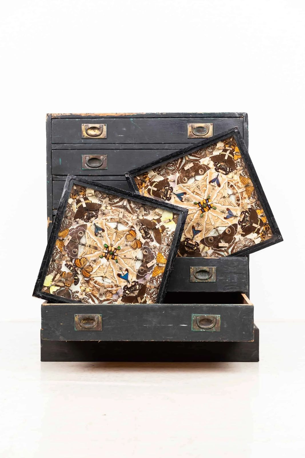 Antique Glazed Entomology Butterfly Display Cases