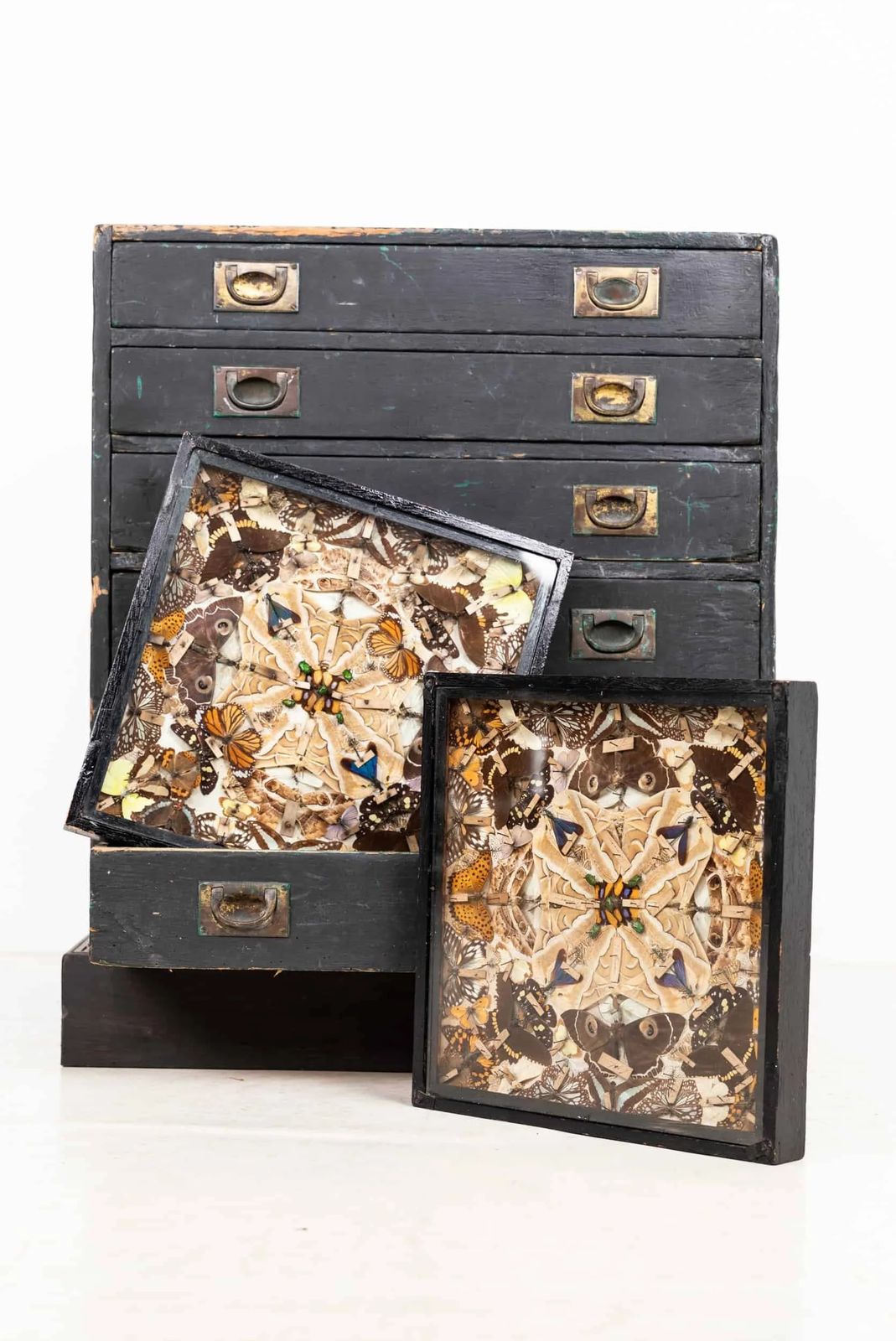 Antique Glazed Entomology Butterfly Display Cases photo Home Decor