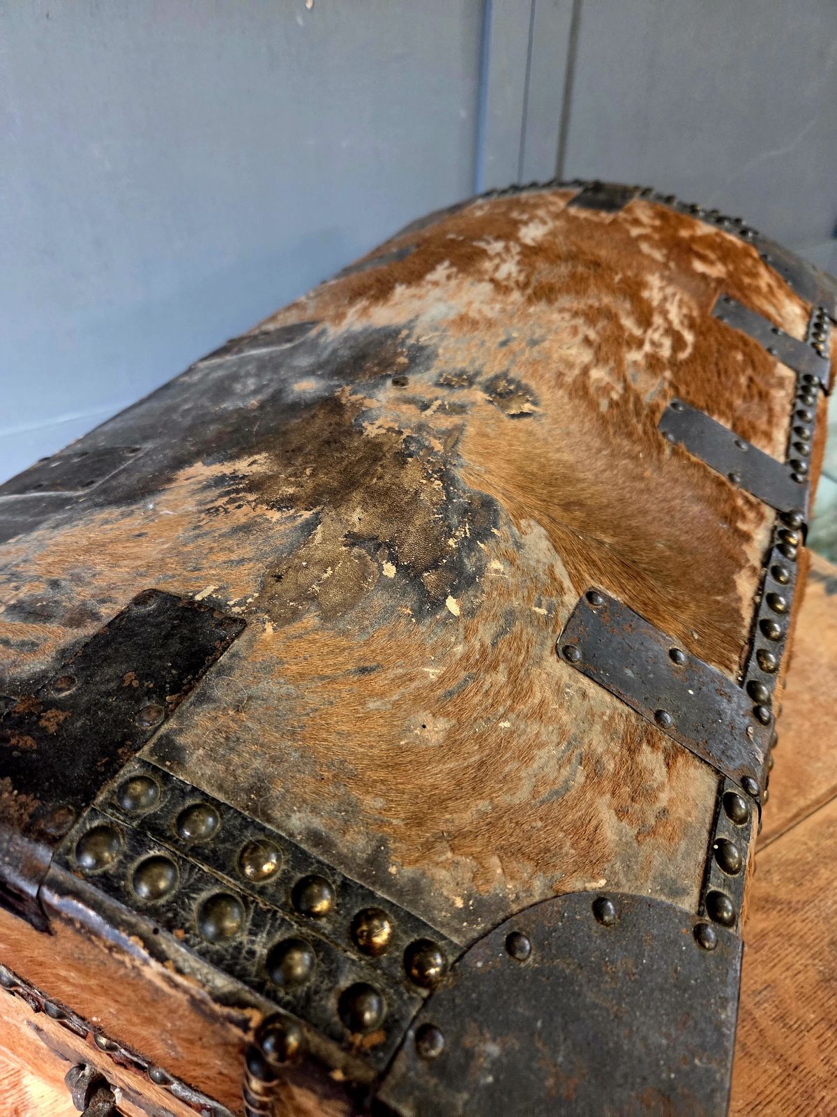 Early 19th Century Georgian Hair On Hide Dome Top Travel Trunk   Chest C.1800 photo Furniture