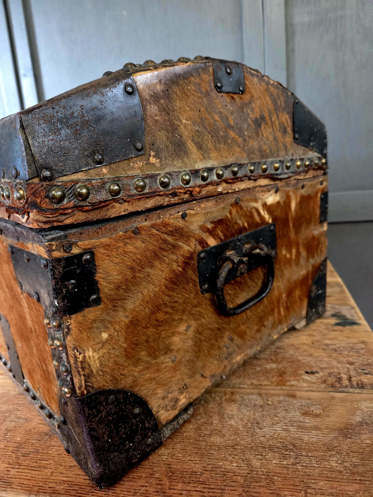 Early 19th Century Georgian Hair On Hide Dome Top Travel Trunk   Chest C.1800 photo buy