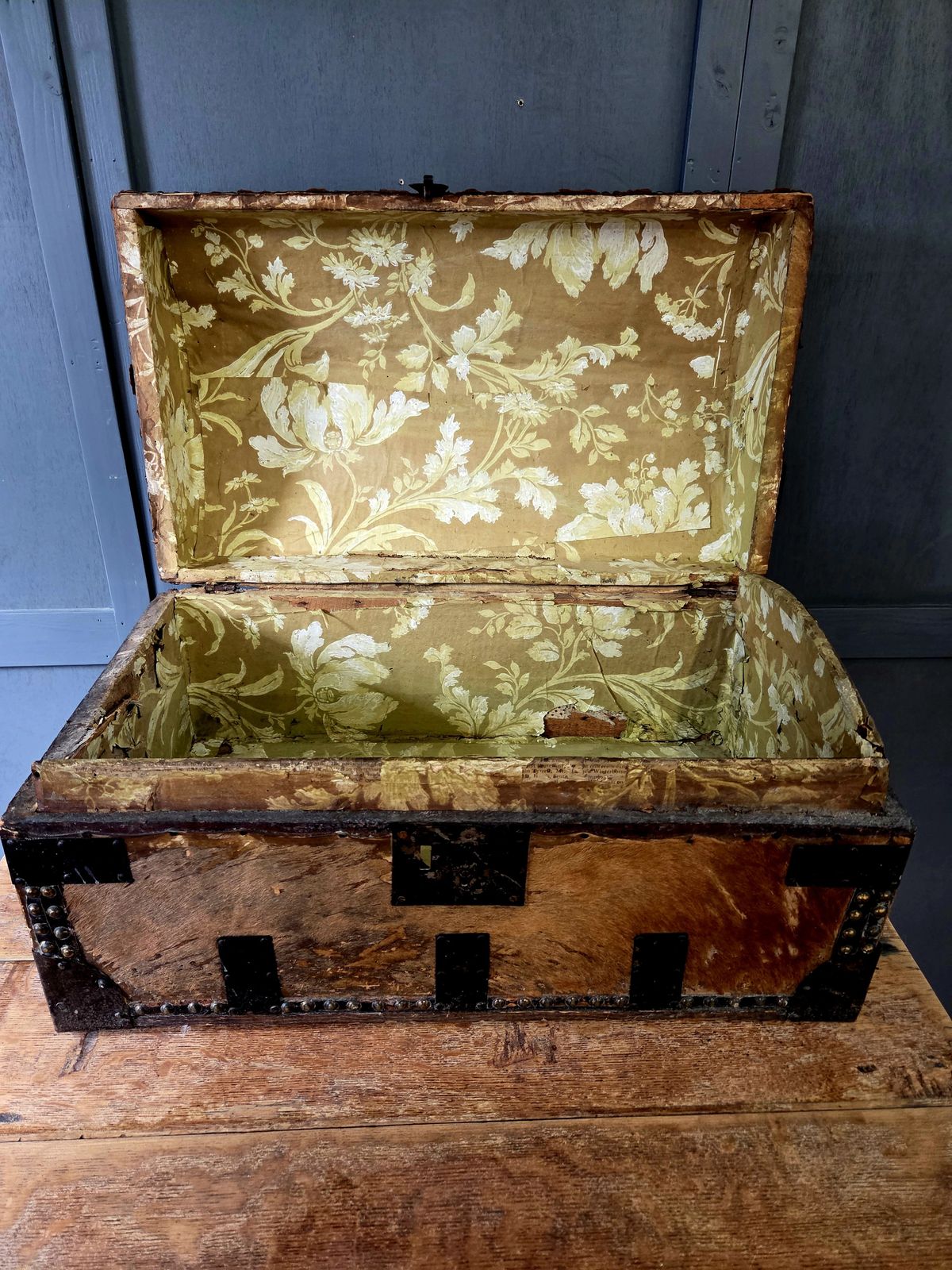 Early 19th Century Georgian Hair On Hide Dome Top Travel Trunk   Chest C.1800 photo vintage