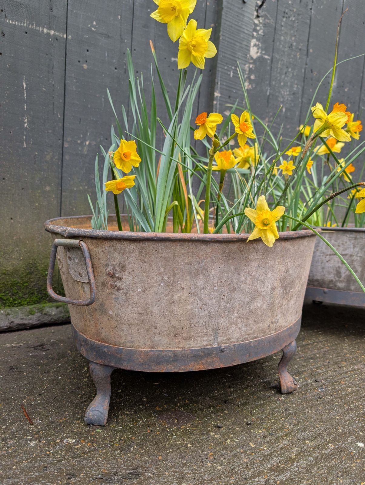A Pair Of Oval Garden Planters photo for sale