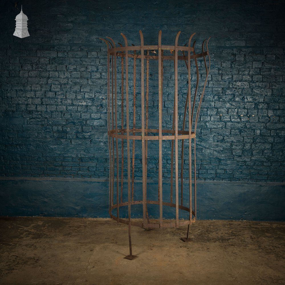 Tree Guard, Wrought Iron photo for sale