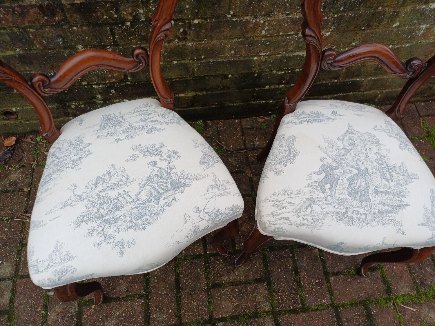 Top Quality Pair Antique Rosewood Balloon Back Dining Chairs Victorian Style Upholstered Toile Seats Occasional Vintage photo vintage