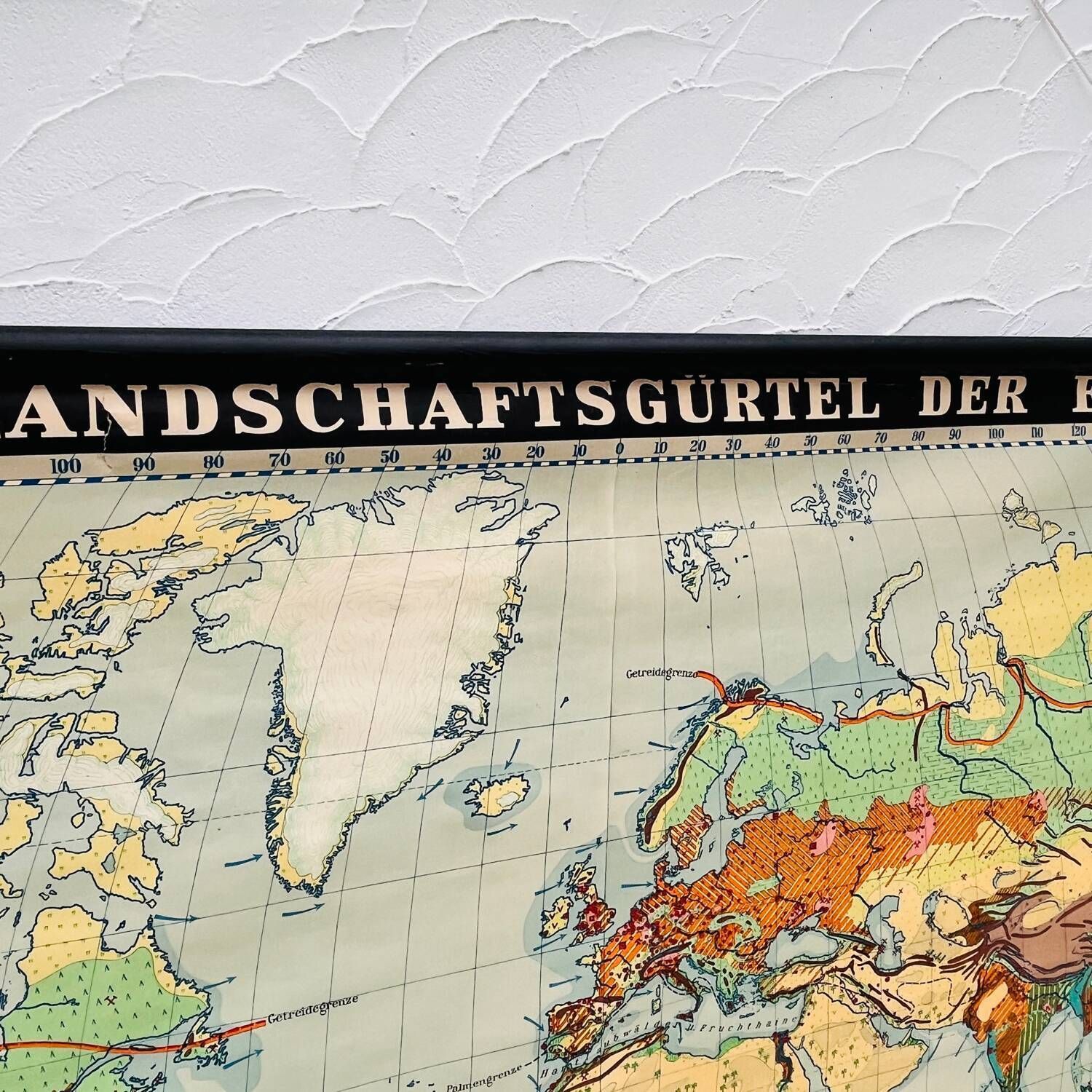 Educational Map “Types Of Landscapes Of The Earth” photo 120.0