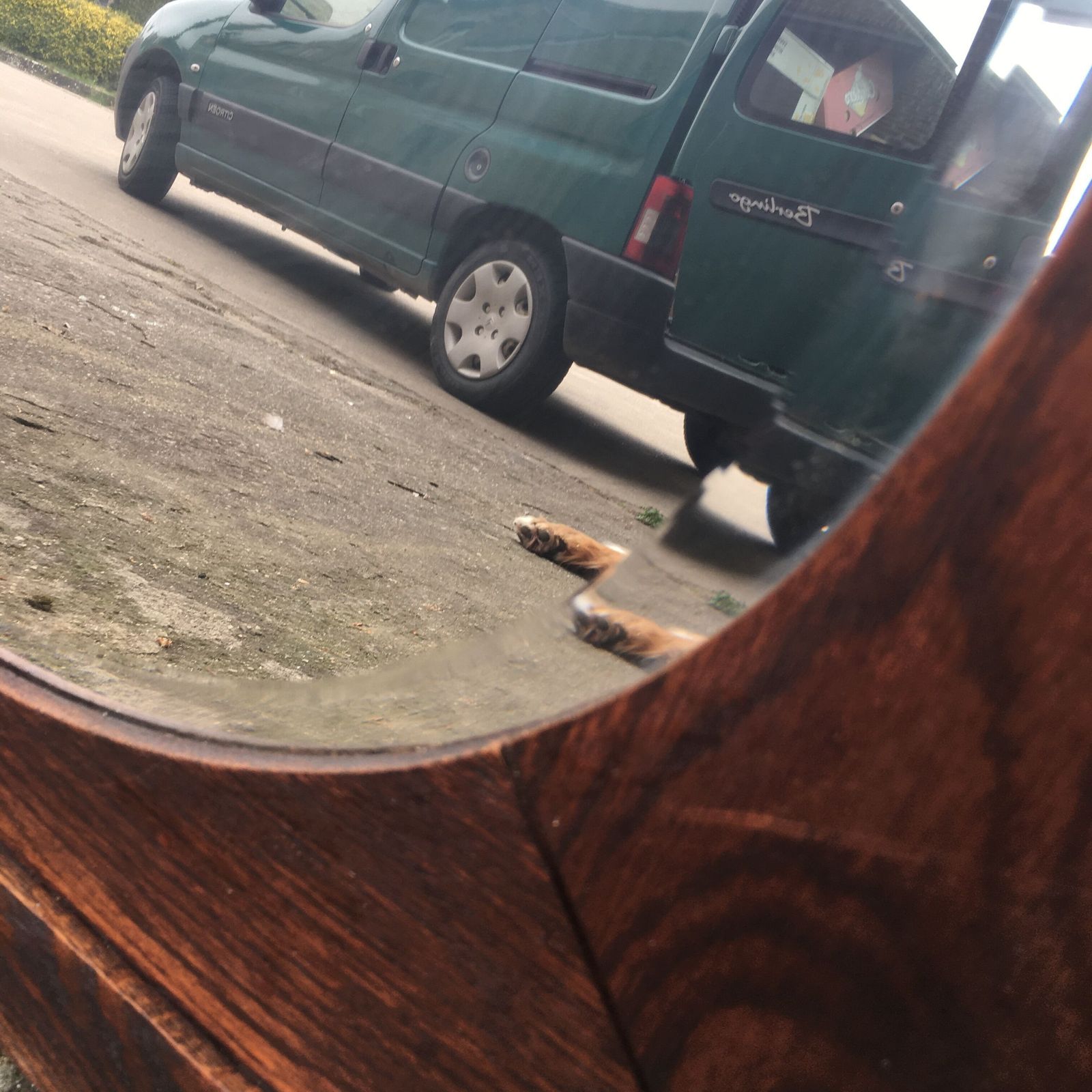 Houten Spiegel Met Geslepen Rand photo vinterior