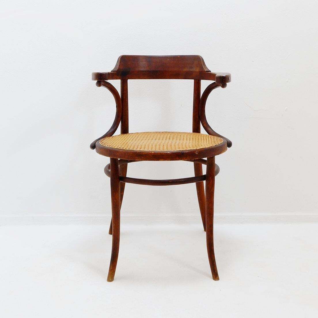 Thonet Style Bentwood Chair, Stained Beech, Art Deco, 1950s Design photo vintage