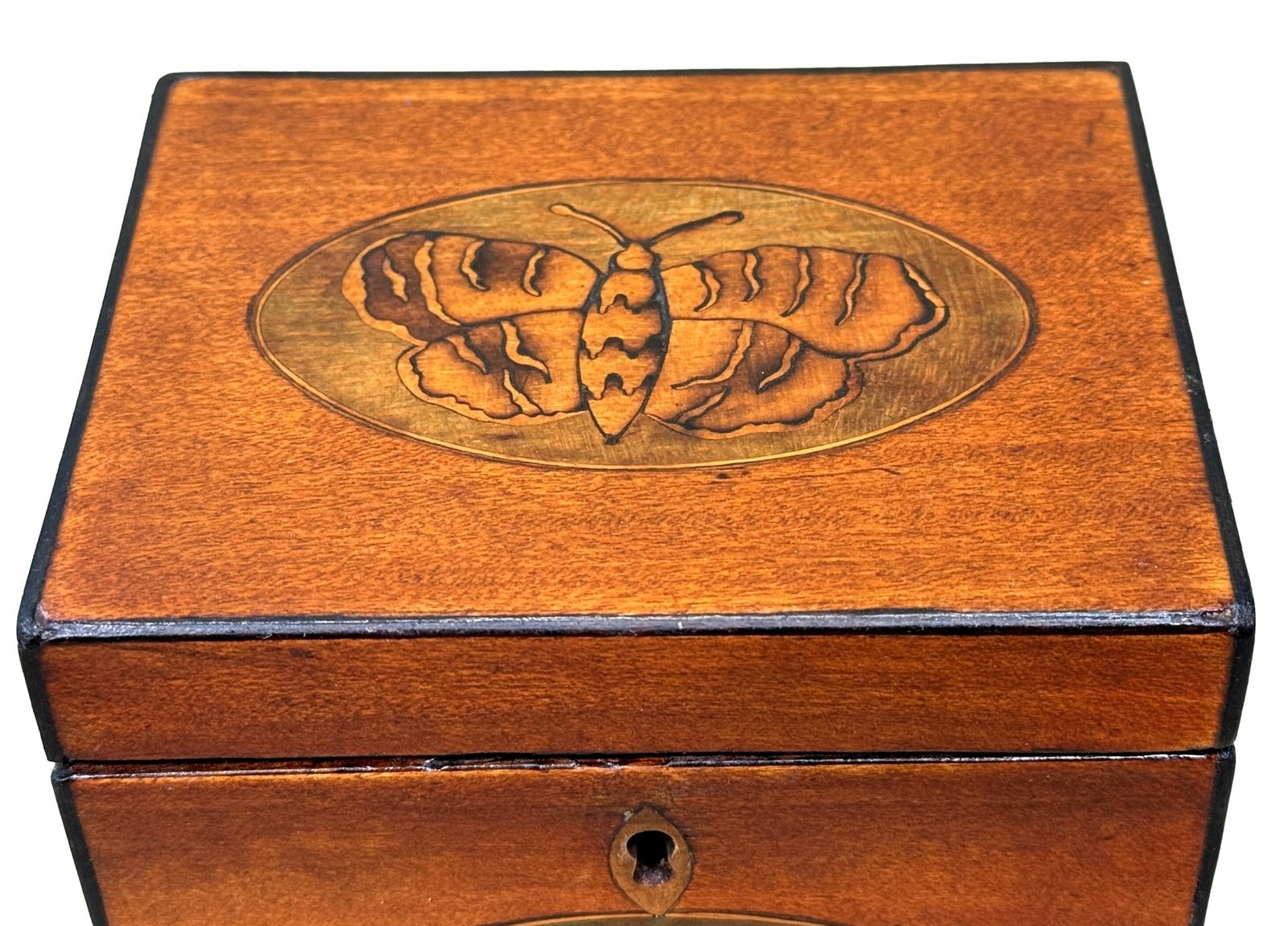 Georgian 18th Century Satinwood Tea Caddy Butterfly Inlay (England, Circa 1790) photo vinterior