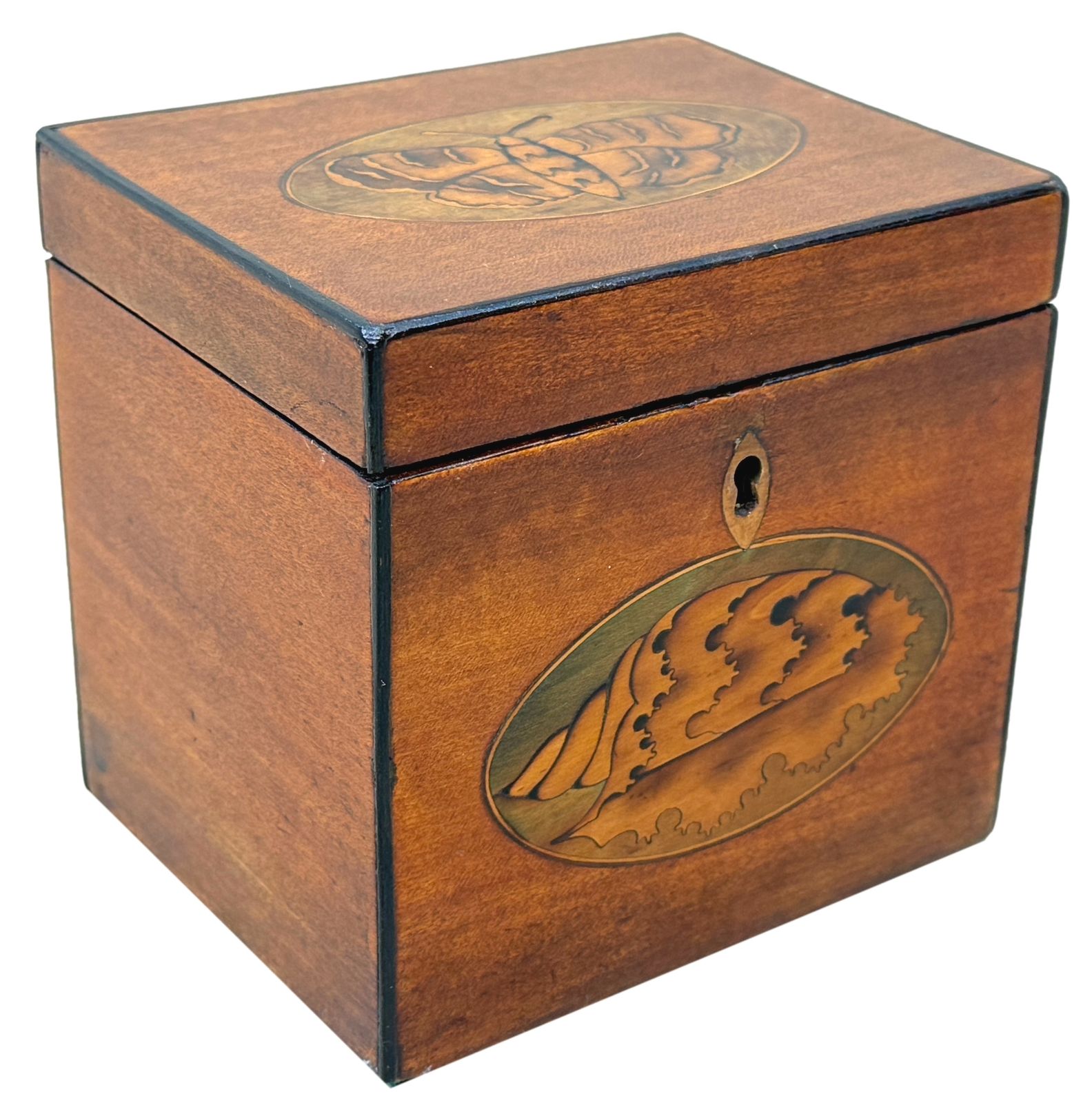 Home Decor Georgian 18th Century Satinwood Tea Caddy Butterfly Inlay (England, Circa 1790) photo