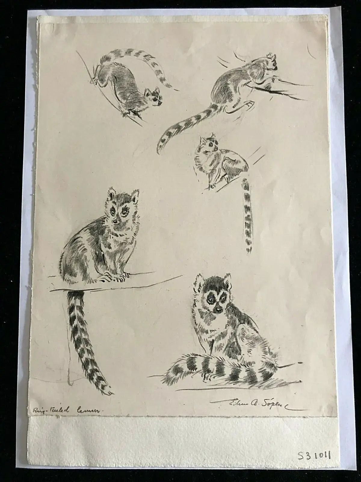 Eileen Alice Soper Children’s Illustrator (Enid Blyton) Signed Pencil Sketches On One Sheet