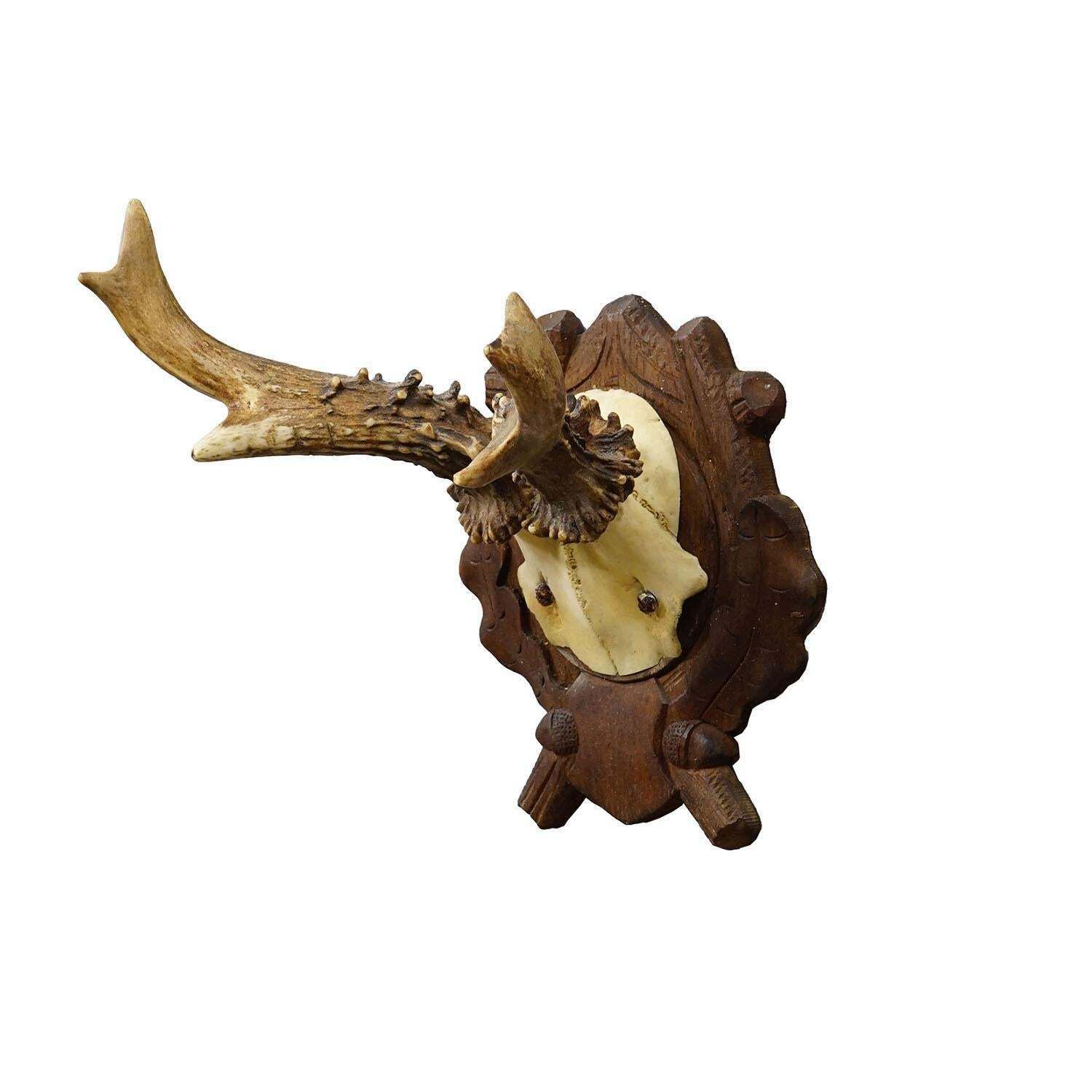 Antique Black Forest Red Deer Trophy On Carved Plaque, Germany 1938 photo furniture