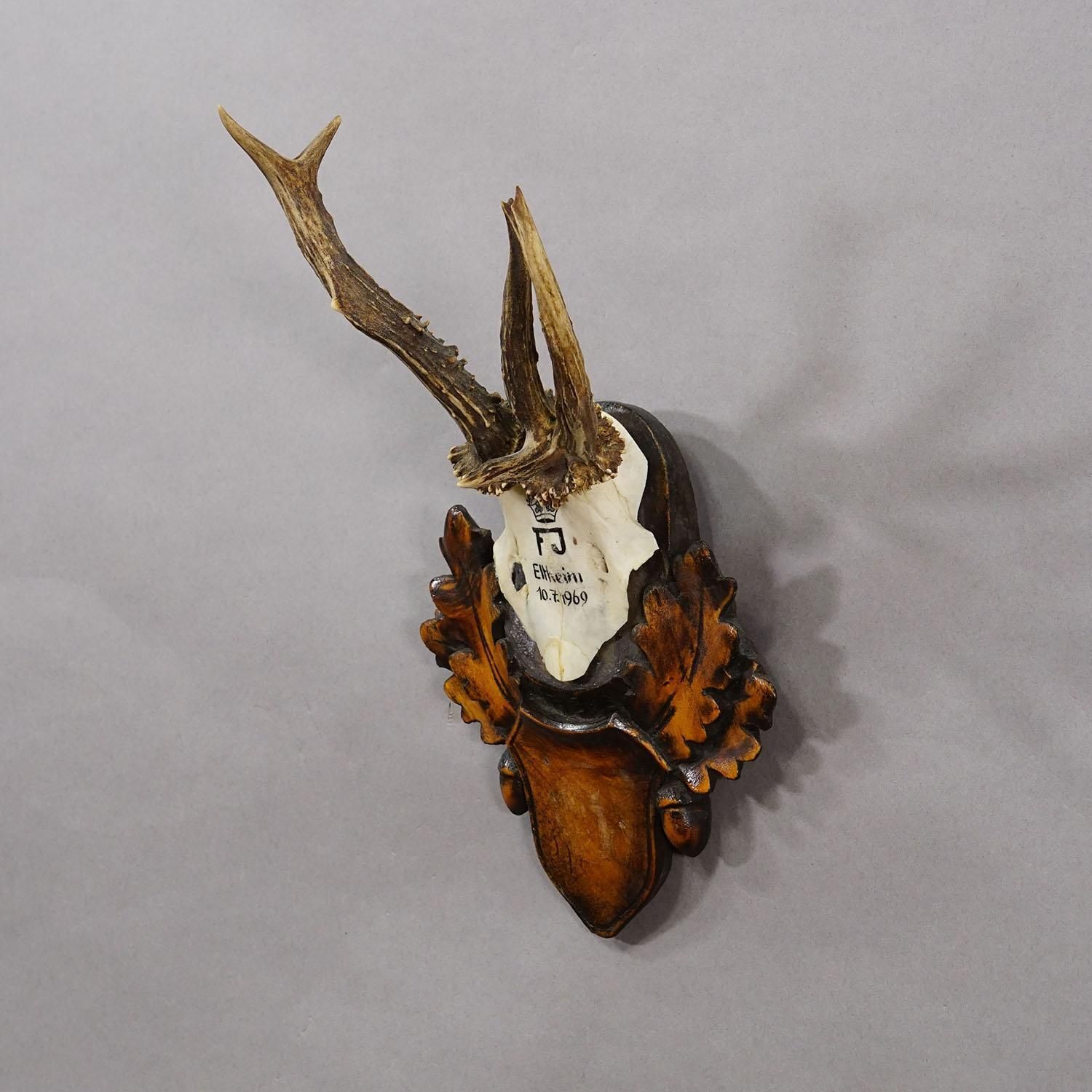 Red Deer Trophy By Franz Joseph, Prince Of Thurn And Taxis, 1969 photo Art
