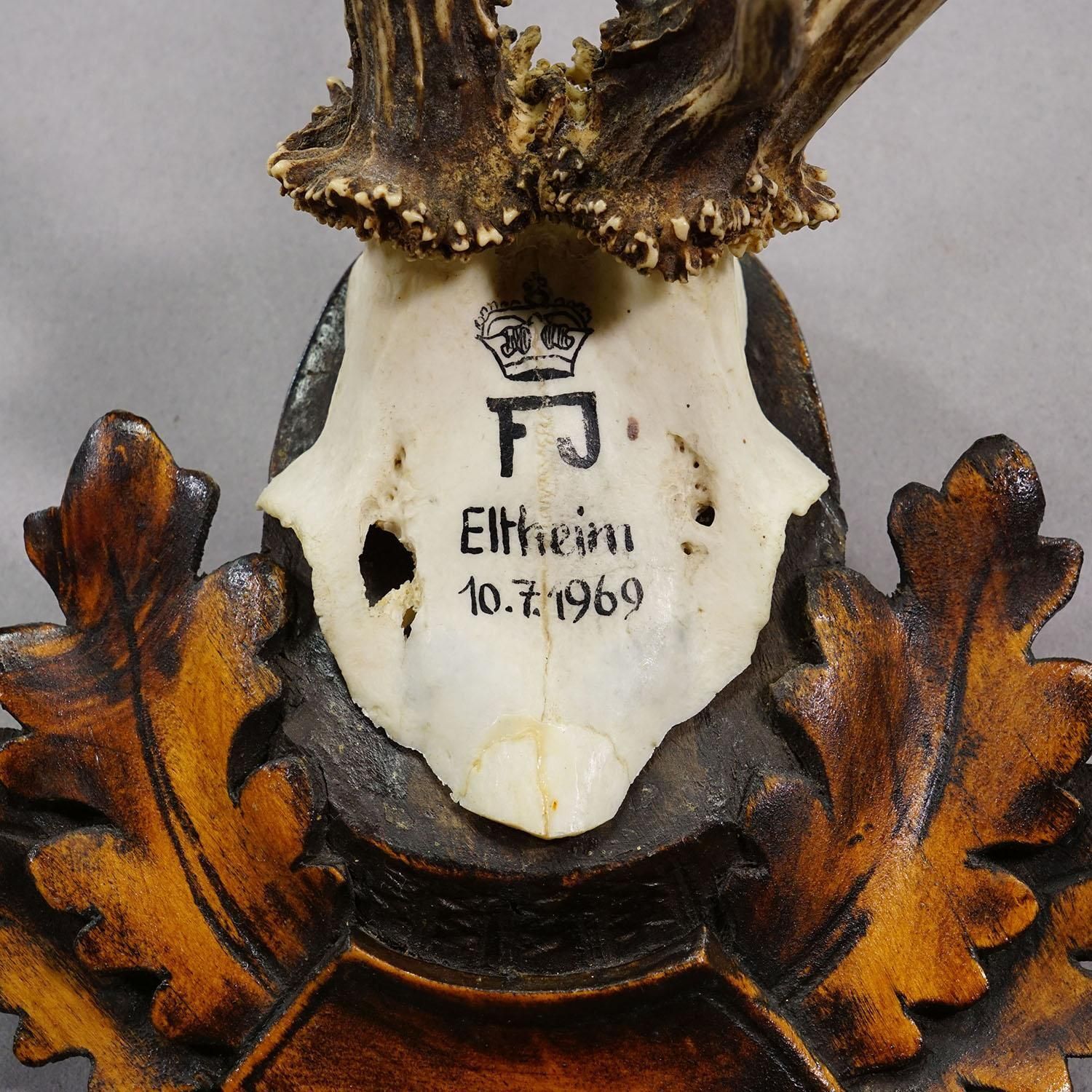 Hertentrofee Van Franz Joseph, Prins Van Thurn Und Taxis, 1969 photo vinterior