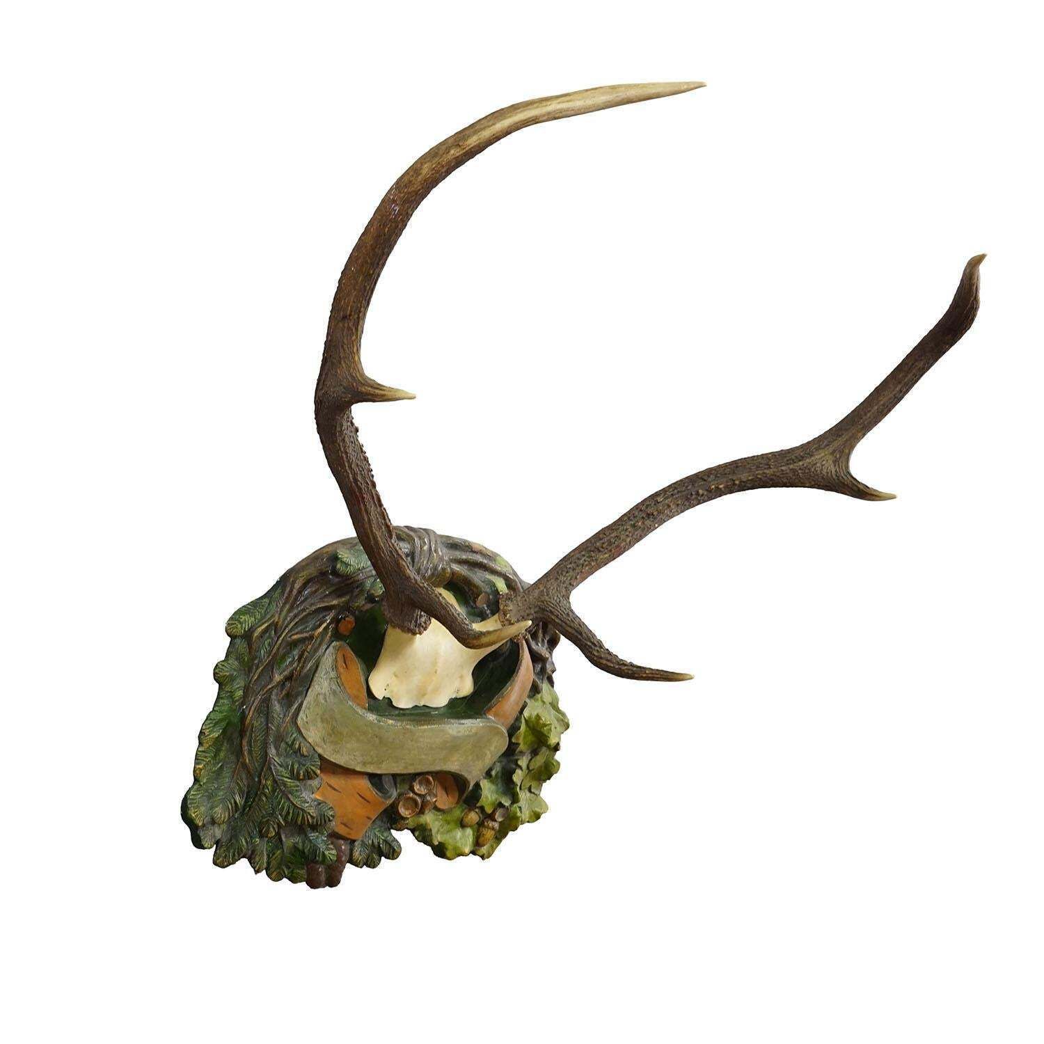Antique Black Forest Deer Trophy On Plaster Plaque, Ca. 1920s photo furniture
